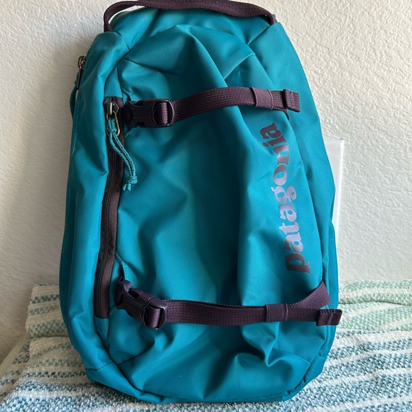 Patagonia Atom Sling 8L(belay blue) - Picture 1 of 10